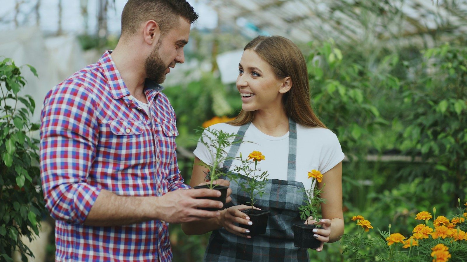 A man and a woman holding potted marigolds in a garden center