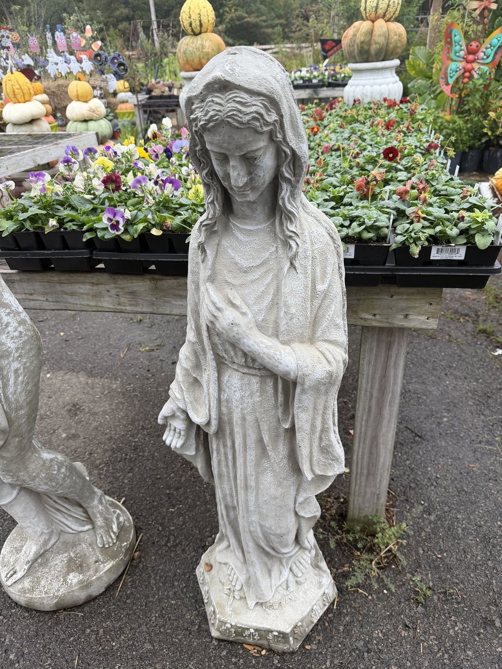 A concrete garden statue among pansies and pumpkins at Amanda's Villa Garden Center
