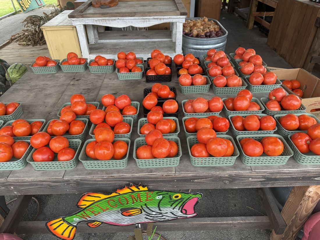 Baskets of fresh red tomatoes on a wooden table at the Amanda's Villa produce stand