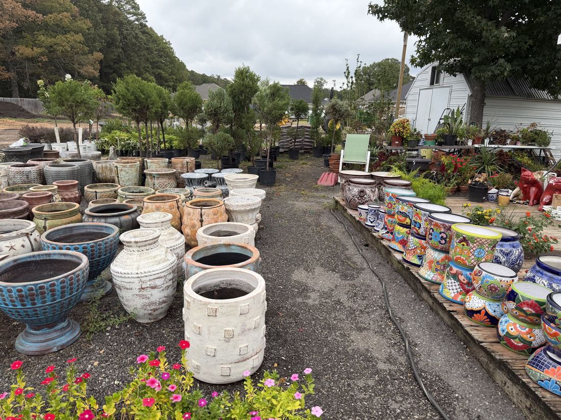 An aisle of Talavera and ceramic pottery lined with blooming annuals at Amanda's Villa Garden Center