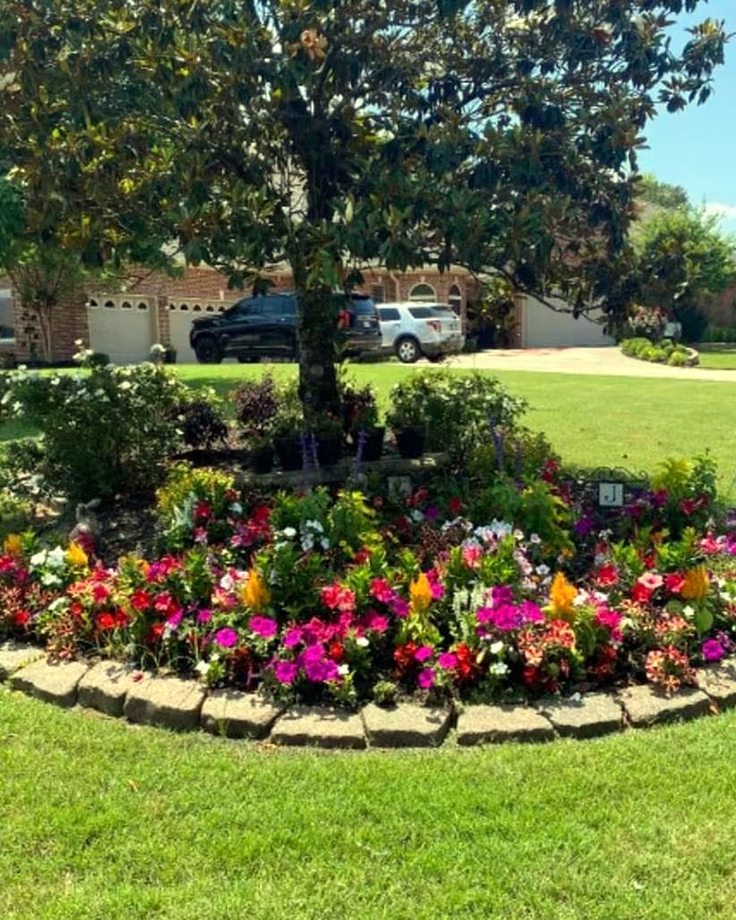 A round bed of bright annuals around a shade tree, planted by Amanda's Villa